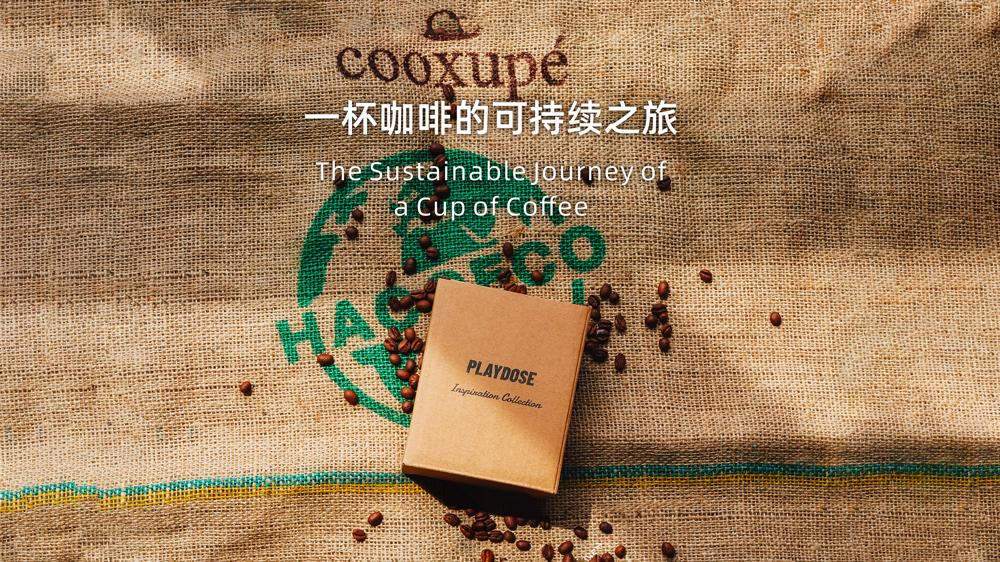2026年一杯咖啡的可持续之旅