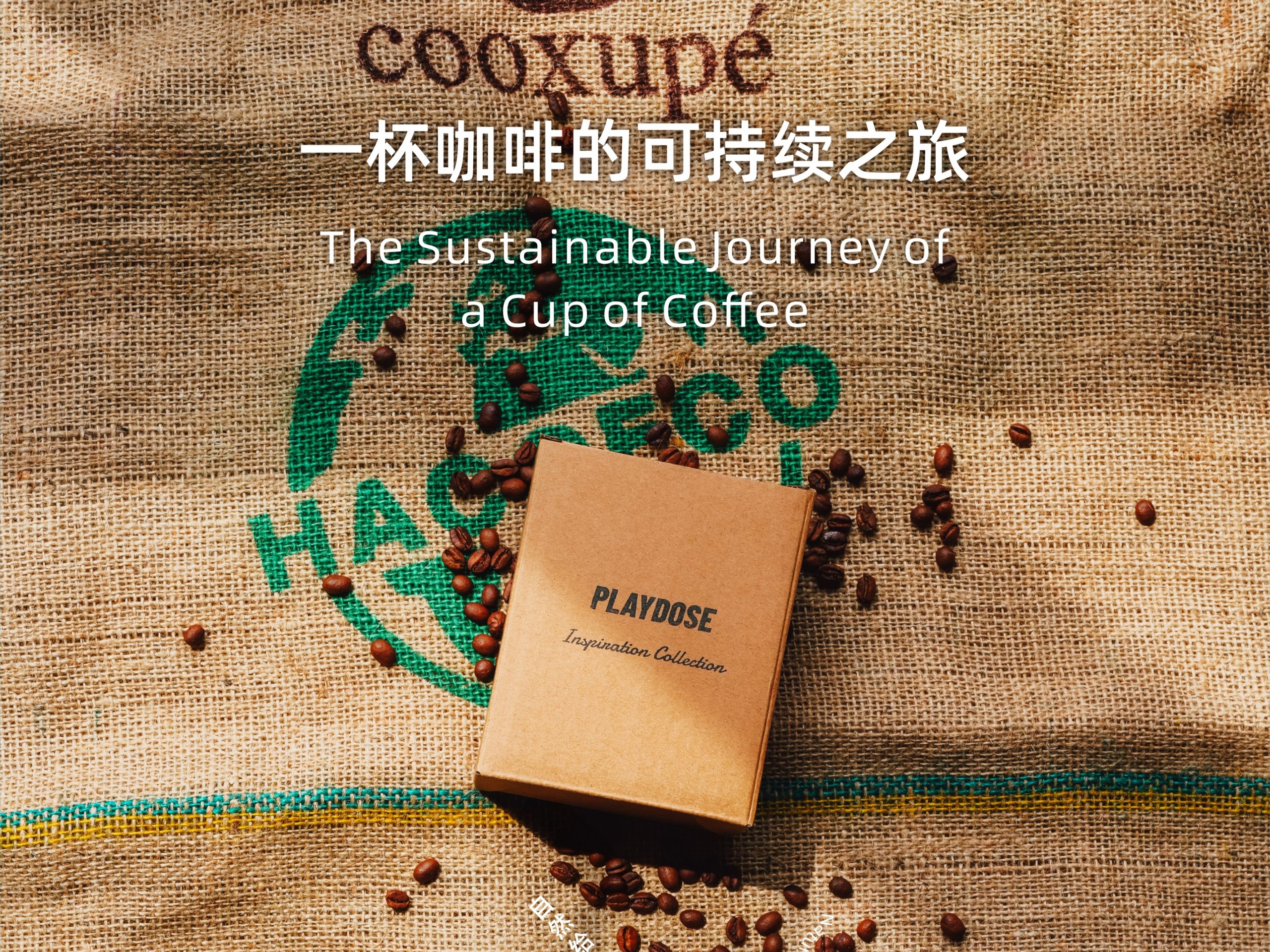 一杯咖啡的可持续之旅